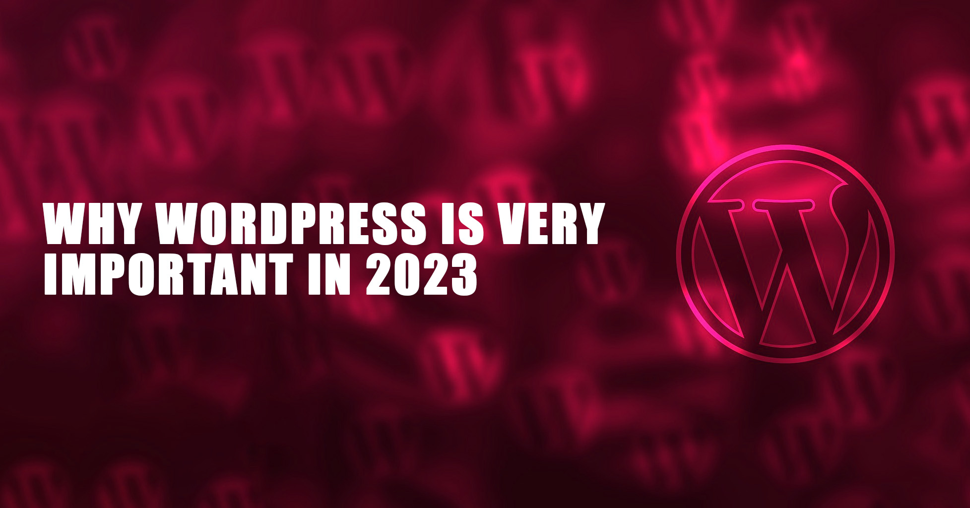 why WordPress is important in 2023